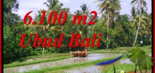 Ubud Gianyar     Page     House Land Property for sale Bali Island