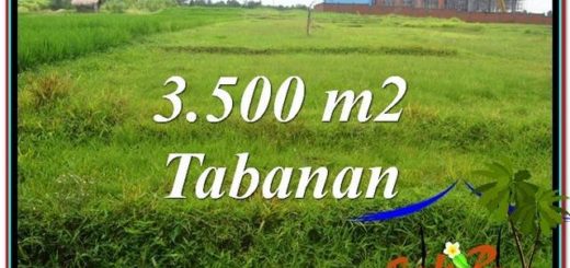 Affordable LAND IN Tabanan Kerambitan BALI FOR SALE TJTB302