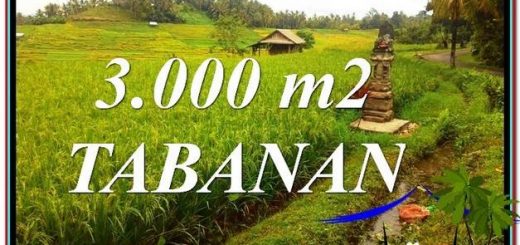 Affordable PROPERTY 3,000 m2 LAND IN Tabanan Selemadeg FOR SALE TJTB328