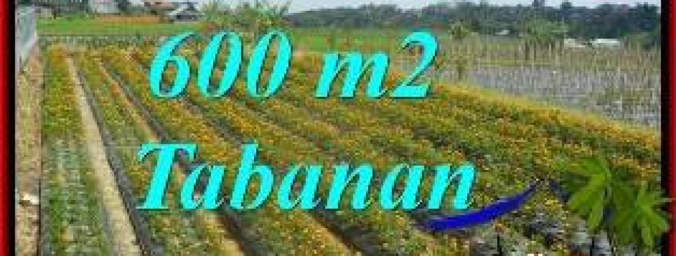 Property for sale in TABANAN, Property in TABANAN for sale, LAND FOR SALE IN BALI, Land in Bali for sale, PROPERTY FOR SALE IN BALI, Property in Bali for sale