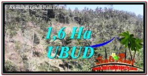FOR SALE Beautiful PROPERTY 16,000 m2 LAND IN Ubud Tegalalang TJUB748