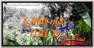 FOR SALE Exotic PROPERTY 6,000 m2 LAND IN Ubud Payangan TJUB750