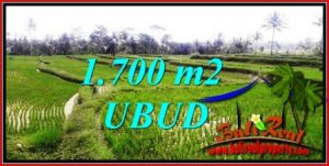 FOR SALE Affordable PROPERTY 1,700 m2 LAND IN Ubud Tegalalang TJUB745