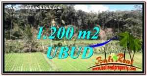 FOR SALE Exotic LAND IN Ubud Tegalalang BALI TJUB746