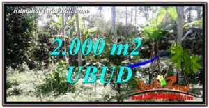 Exotic 2,000 m2 LAND SALE IN UBUD BALI TJUB747