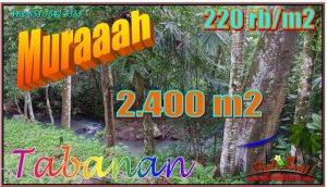 Cheap property LAND FOR SALE IN Penebel Tabanan TJTB551