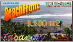 Beautiful PROPERTY 9,250 m2 LAND IN TABANAN FOR SALE TJTB550